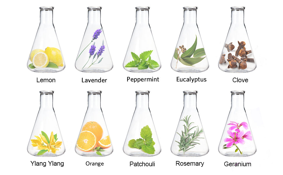Essential Oil Variety Pack (10-Piece Set)