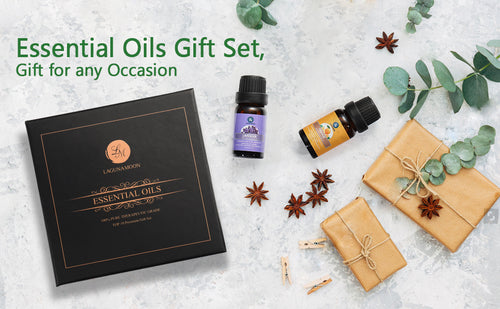 Essential Oil Variety Pack (10-Piece Set)